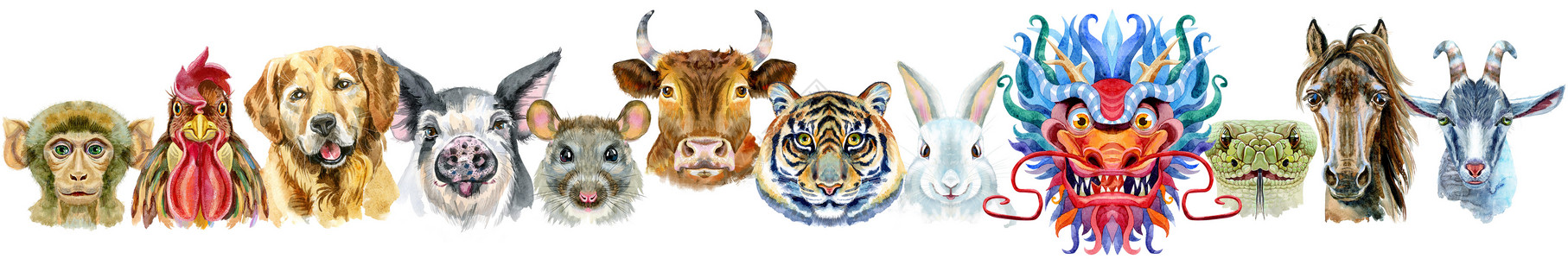 从水彩十二生肖动物边框海报山羊兔子传统绘画野生动物老虎日历假期文化背景图片