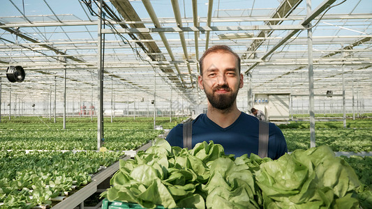 在温温室工作的农业种植者男子的肖像高清图片