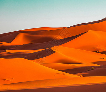 照片来自摩洛哥的撒哈拉沙漠地貌假期旅游生活旅游旅人公羊世界博客旅游迷旅游世界旅行者背景图片