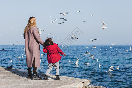 母亲和儿子步行到海边男性海鸥海岸线海洋家庭成人飞行闲暇鸟类父母图片