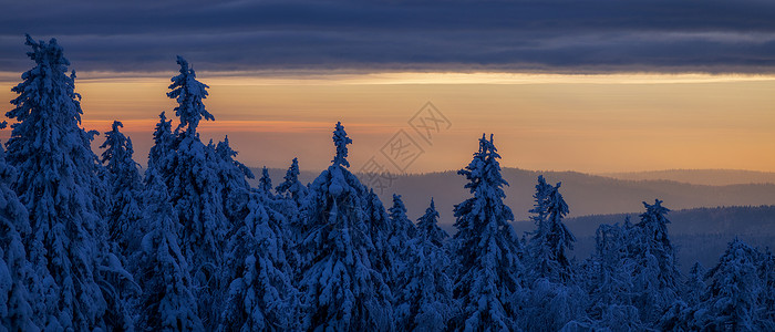 新时达冬天的雪覆盖树木 在日落时在乌拉尔山脚下公园高地木头日出童话降雪天气太阳季节假期背景