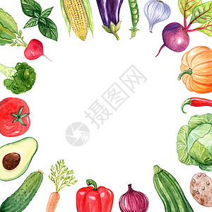 白色背景孤立的水彩蔬菜框架(以白本为单位)背景图片