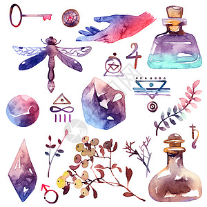水彩炼金器枝条水晶昆虫蜻蜓行星魔法手绘收藏植物化学背景
