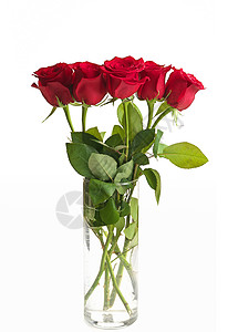 一捧玫瑰白背景上孤立的清玻璃烟雾中的红玫瑰布束香味花瓣假期优雅花束摄影纪念日礼物庆典植物背景