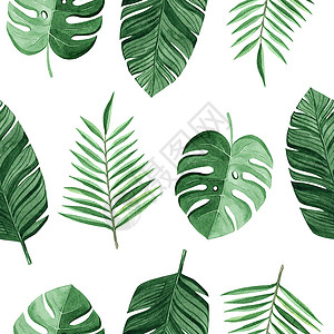 手绘热带叶子水彩绿色热带棕榈和蒙斯特拉在白色背景上留下无缝图案 用于织物 纺织品 品牌 邀请 剪贴簿 包装背景