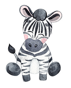 手绘斑马儿童织物 生日贺卡设计等白色背景上与世隔绝的婴儿斑马(Zebra)背景
