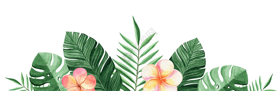 水彩风植物边框白色背景上孤立的海水颜色热带花朵边框背景