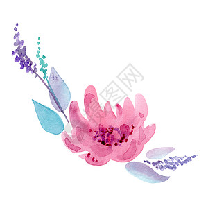 肉粉色水彩花朵花环彩卡和婚礼请柬设计在白色背景上分离的花朵成份 由水色手画出背景