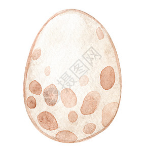 复活节巢以白色背景隔离点的水棕色褐蛋背景