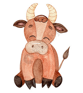 手绘奶牛以白色背景隔离的棕色水牛宝宝 农场动物 2021年新年符号背景