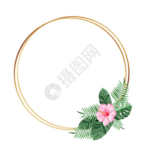粉色手绘花环金圆框 有水彩热带花朵和白背景孤立的叶子 用于婚礼请柬和卡片设计背景