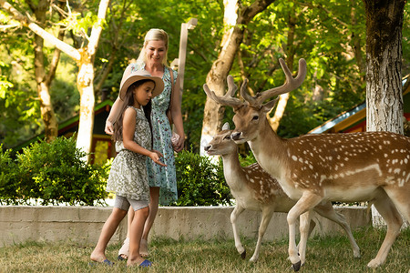 小女孩和鹿快乐的小女孩与鹿 家庭周末假期孩子女士荒野旅游微笑食物婴儿乐趣花园背景