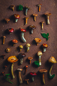 与森林蘑菇和草药一起消瘦晚餐篮子烹饪木板常委营养饮食叶子美食季节图片