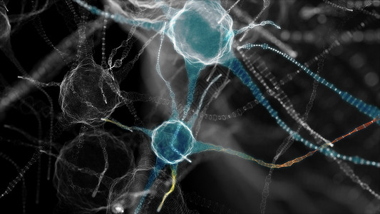 神经环路活动神经细胞中枢网络 3D 插图微生物学神经元电气粒子生物3d头脑信号药品冲动背景