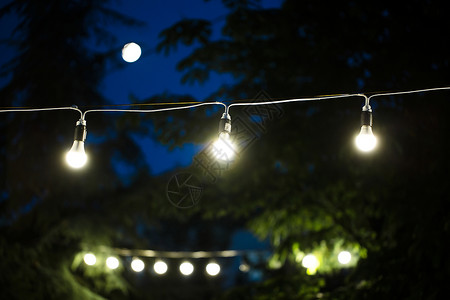 有月亮的晚上夜空中有发光灯泡的花园背景