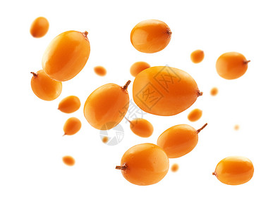鼠能生巧毛笔字白色背景的海角浆果悬浮在白色背景上航班水果橙子衬套农业团体草本植物沙棘营养宏观背景