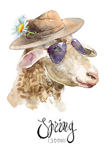 手绘动物羊带帽子和眼镜的羊背景