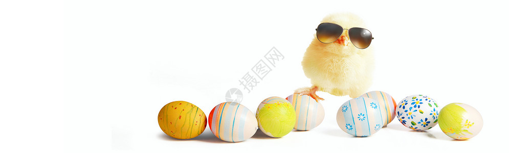 孤立的鸡蛋甜的快乐的高清图片