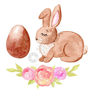 手绘褐拟鳞鲀褐兔 鸡蛋和白底孤立的鲜花 在白色背景上被隔绝庆典绘画花朵兔子剪贴簿食物野兔工具卡片植物背景