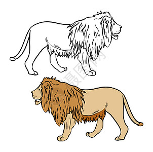 病例本线性图标彩色和黑白着色书的插图 在孤立的白色背景上画狮子背景