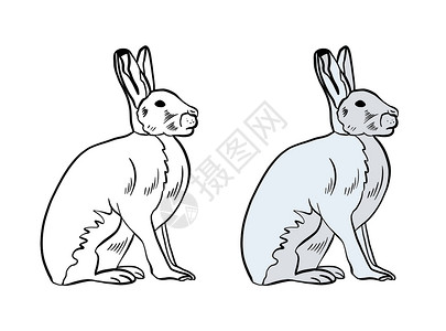 荷包蛋填色图标彩色和黑白着色书的插图 在孤立的白色背景上画一只野兔背景