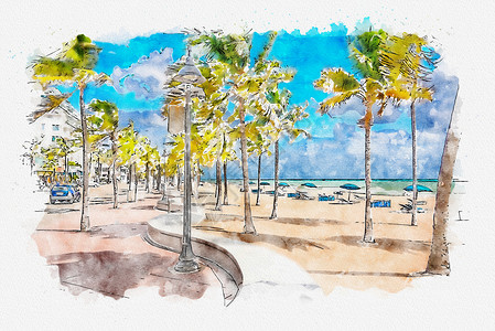 在劳德代尔堡用棕榈树绘制海滨海滩预告水彩画图热带艺术树木水彩画插图棕榈长廊支撑艺术品海滨背景