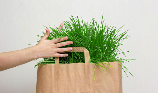 暖菇包拿着绿草纸袋的小孩的手种子季节厨房蔬菜饮食草本植物生物营养回收沙拉背景