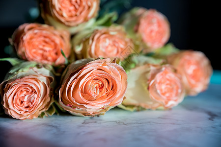 美丽的英国玫瑰花 阳光下 美丽的牡丹形浓密的粉红玫瑰 情人节 爱与忠诚的概念 花店的概念 一家小型家族企业花园卡片花瓣生日牡丹婚背景图片