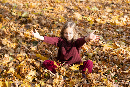 坐在树叶上的女孩一个小女孩的肖像 坐在黄色叶子上 穿红色毛衣和裤子 扔叶子季节性快乐童年孩子公园季节喜悦幸福女孩树叶背景