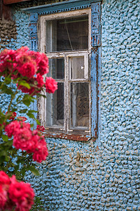 窗户和攀登玫瑰法国风格高清图片