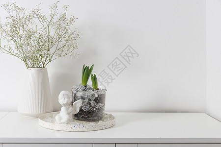 陶瓷花瓶中的满天星 白色梳妆台上玻璃花瓶中的风信子 现代斯堪的纳维亚风格内饰的视图 客厅 带花瓶的马桶 极简主义概念背景图片