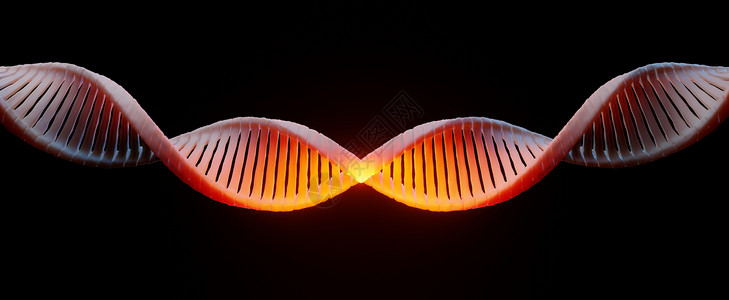 二八法则3d 渲染 RNA 的 DNA 螺旋互补链 序列遗传密码或基因组 基因表达 核苷酸数据库 转录和翻译的中心法则过程 人类基因克隆背景