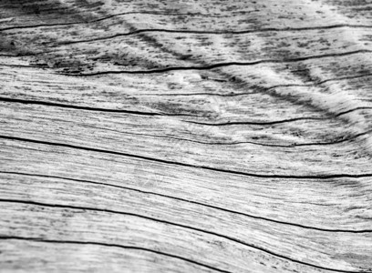旧树桩木表面的纹理灰色材料风化裂缝白色硬木树干背景图片