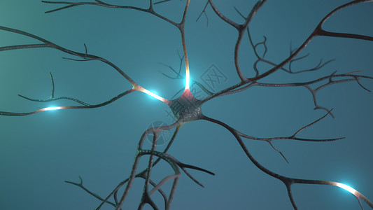 追梦新时代活动从低活动3D向高活度3D传送中中子信号网络3d神经显微镜药品头脑渲染冲动科学生物学背景