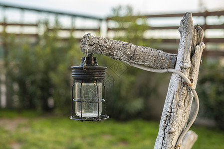 红腹灰雀在花园中作为装饰元素的贾灯笼应用在花园里背景