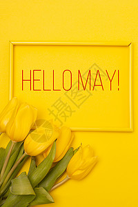 绽放五月字体横幅你好五月 在黄色背景上的郁金香 一篇关于新月的文章 关于春天的文章 带文字的鲜花照片花束海报植物群花朵字体欢迎卡片刻字书法时背景