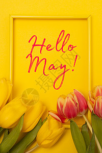 绽放五月字体横幅你好五月 在黄色背景上的郁金香 一篇关于新月的文章 关于春天的文章 带文字的鲜花照片叶子花束植物群海报卡片邀请函时间书法欢迎背景
