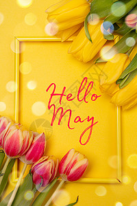 绽放五月字体横幅你好五月 在黄色背景上的郁金香 一篇关于新月的文章 关于春天的文章 带文字的鲜花照片海报欢迎叶子花朵书法卡片时间刻字脚本字体背景