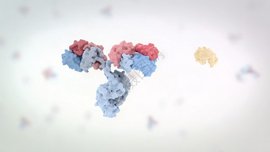 肿瘤防治宣传周抗体是免疫系统为防治感染而生产的蛋白质科学疾病显微镜软件全息诊断解剖学染色体表皮屏幕背景