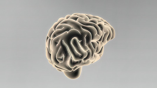 大脑插画3D医学人体大脑插图显微镜药理心理活力小脑神经语料库胼胝体半球网络背景