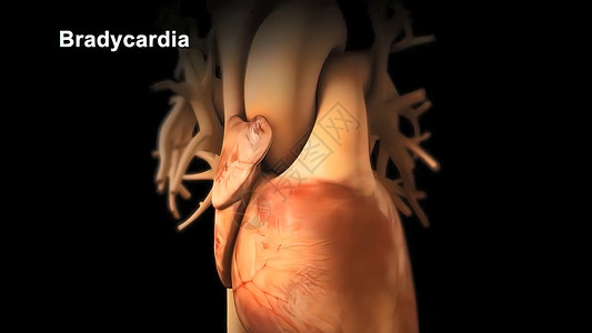 不拆分插画心肌膜心动异常缓慢的心脏动作脉冲测量活力韵律心脏病学解剖学图形临床科学脉动背景
