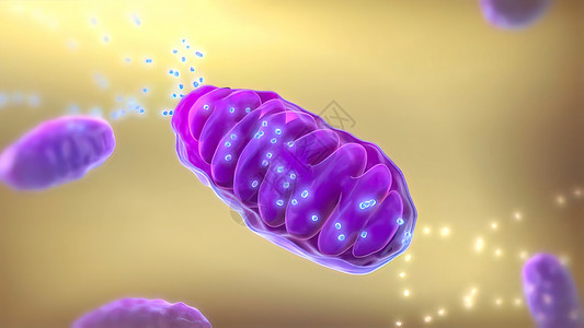 磷酸肌ATP 合成酶 3d 医疗 3D 立体Render活力细胞合成实验遗传学表皮癌症间质酵素磷酸盐背景