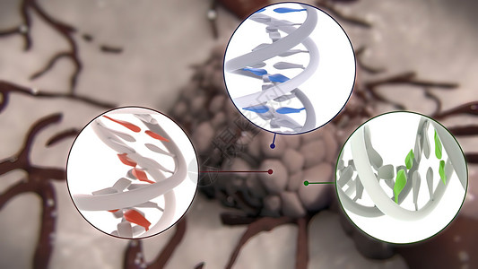 肉瘤癌症细胞的分裂和生长染色体细胞学活检间期病理科学生活生物学死亡组织背景