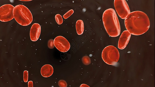 血液循环系统 红血细胞生活流量抗体生物学免疫学药品照片静脉实验血细胞背景图片