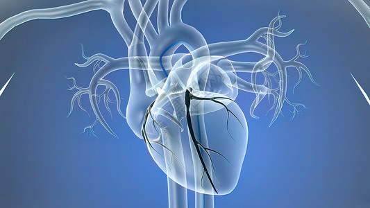 3d定妆术插入一个支节打开隐蔽的动脉保健手术疾病疼痛攻击心血管情况监视器细胞药品背景