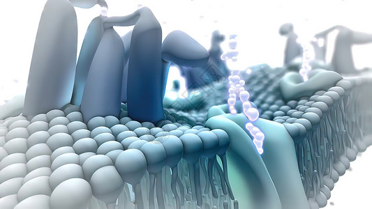 脂质双分子层3d医疗插图动态后遗症脂质衣夹科学图形作用液体人体毛孔背景