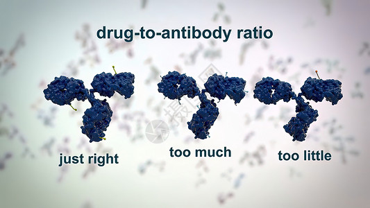 考试结果界面抗体是免疫系统为防治感染而生产的蛋白质粒子肿瘤癌症展示细菌3d微生物学软件诊断扫描背景