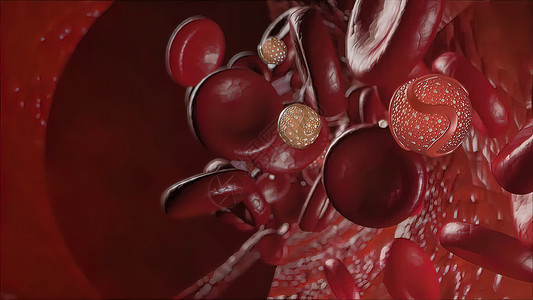 血浆蛋白身体内胆固醇导致血管隔绝科学感染黄疸实验室技术循环贫血细胞系统生物学背景