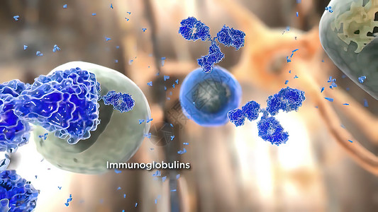 免疫机制将抗体免疫学和免疫球蛋白概念视为一种对感染性病毒细胞和病原体进行攻击的抗体渲染医学生长抗原感染癌细胞微生物3d生活溪流背景