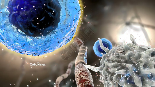 细胞因子Cytokine 3D 插图的中年释放免疫微生物学医疗白细胞疾病趋化抗体吞噬细胞淋巴细胞背景